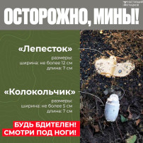 Осторожно, мины! Осторожно, мины!.