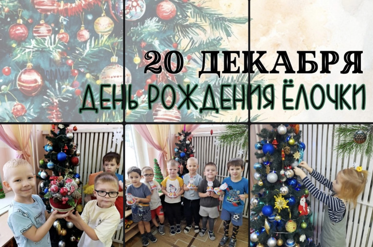 20 декабря - День рождения ёлочки! 20 декабря - День рождения ёлочки!.